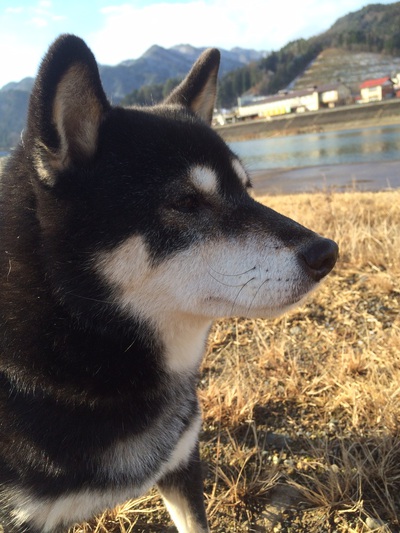 散歩、散歩♫ 散歩、散歩♫