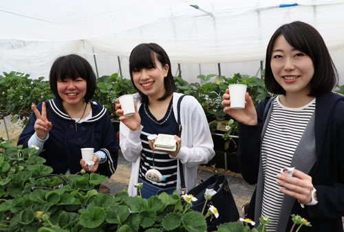 いちご狩り いちご狩り
