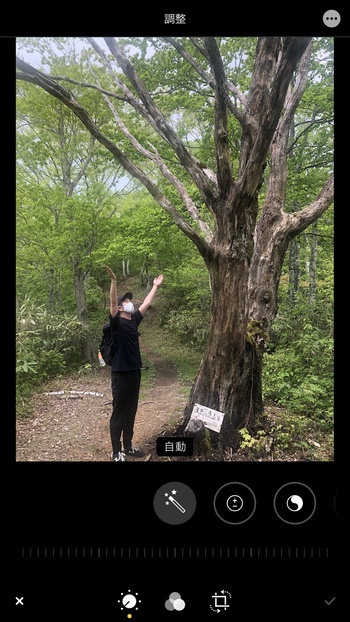 スマホでブログにアップした画像が回転してしまう場合の対処法 スマホでブログにアップした画像が回転してしまう場合の対処法