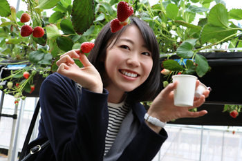 話題の飛騨高山でいちご狩りに行ってきたよ♪ 前編 話題の飛騨高山でいちご狩りに行ってきたよ♪ 前編