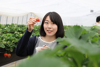 嬉し恥ずかし飛騨高山でイチゴ狩り 後編 嬉し恥ずかし飛騨高山でイチゴ狩り 後編