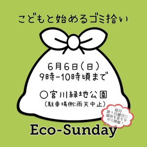 6/6 ECO-Sunday