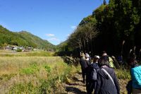 里山の森へミニツアー開催！（kino workshop）
