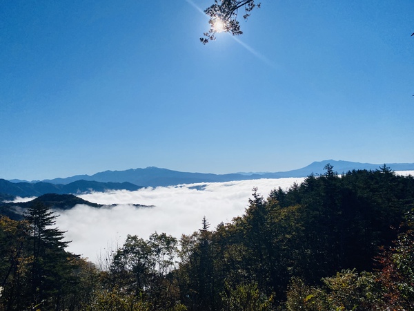 秋限定 安峰山の大雲海! 秋限定 安峰山の大雲海!