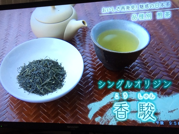 日本茶のシングルオリジンって、なに? 日本茶のシングルオリジンって、なに?