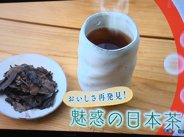 飛騨でも自家茶園の番茶があったんです。 飛騨でも自家茶園の番茶があったんです。