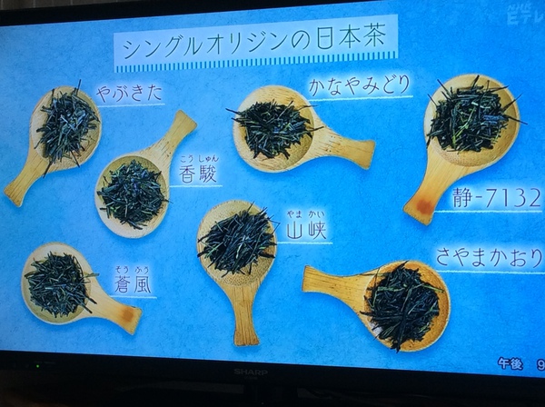 日本茶のシングルオリジンって、なに? 日本茶のシングルオリジンって、なに?