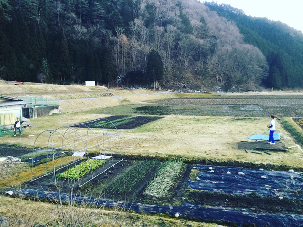 休みの眺め 休みの眺め