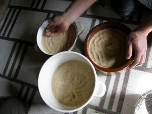 味噌造り2009ー②