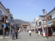 長野「一枚板展」-1