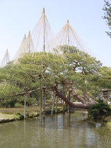 金沢②