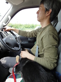 ももとドライブ