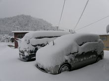 引き続き、雪です!!