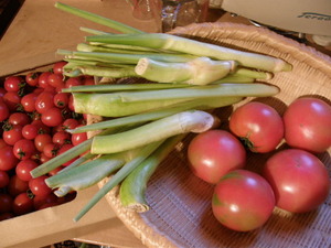 丹生川の野菜。