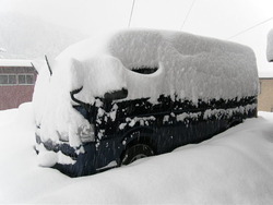 今日は大雪。