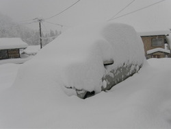今日は大雪。