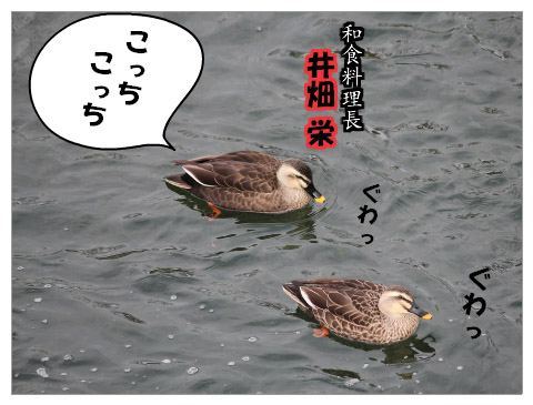 鮎の友釣り奮闘記 井畑栄の昔ッから決まッとる!①