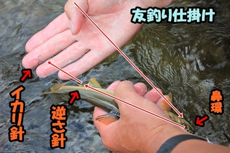 鮎の友釣り奮闘記 井畑栄の昔ッから決まッとる!①