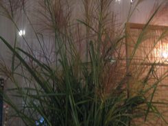 平野屋 秋便り