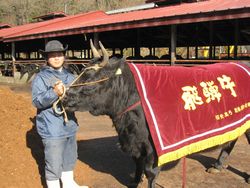 平野屋ミニツアーの下見に行ってきました♪藤瀬牧場