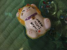 本陣平野屋の猫大集合