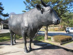 平野屋ミニツアーの下見に行ってきました♪藤瀬牧場