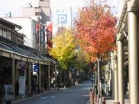 本日も晴天です(^_^)v