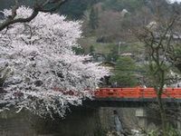 雪の花・・・雪が花!?