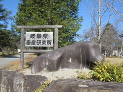 平野屋ミニツアーの下見に行ってきました♪藤瀬牧場