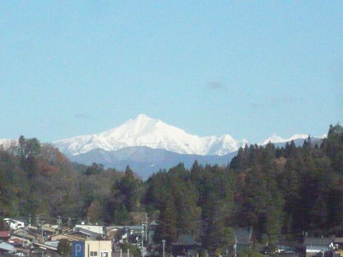 本日も晴天です(^_^)v