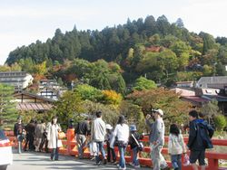 本日も晴天です(^_^)v