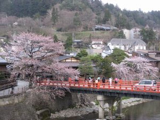 桜もうすぐ満開