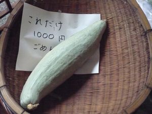 本陣平野屋の朝市