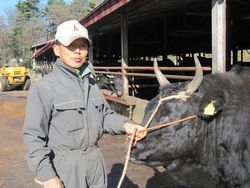 平野屋ミニツアーの下見に行ってきました♪藤瀬牧場