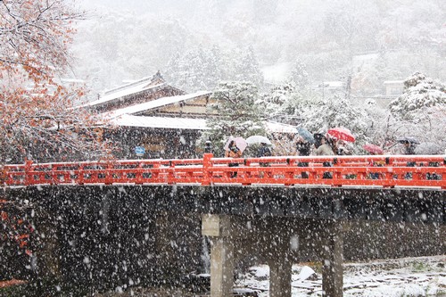 雪です!