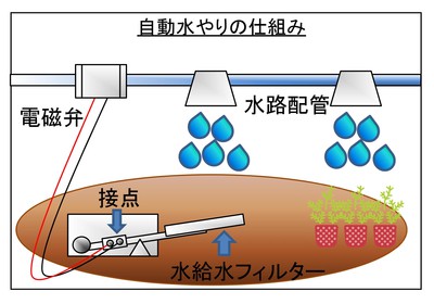 自動水やりの仕組み 自動水やりの仕組み