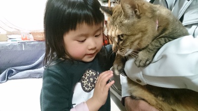 ちびさん① ちびさん①