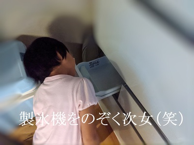 製氷機をのぞく次女(笑) 製氷機をのぞく次女(笑)