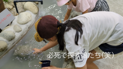 必死で探す娘たち(笑) 必死で探す娘たち(笑)