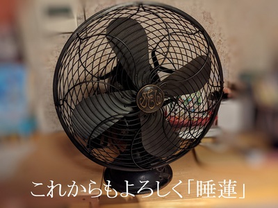 これからもよろしく「睡蓮」 これからもよろしく「睡蓮」