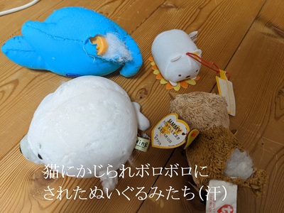 猫にかじられたぬいぐるみたち 猫にかじられたぬいぐるみたち