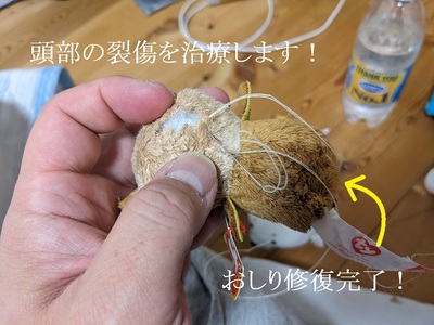 頭部の裂傷を治療します! 頭部の裂傷を治療します!