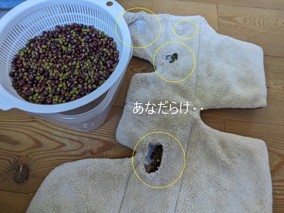 穴だらけ‥ 穴だらけ‥