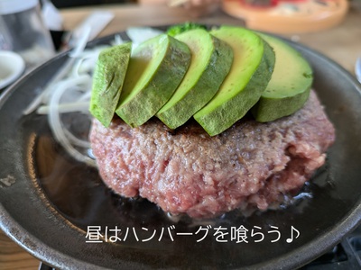 昼はハンバーグを喰らう♪ 昼はハンバーグを喰らう♪