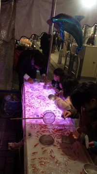 金魚すくいで!! 金魚すくいで!!