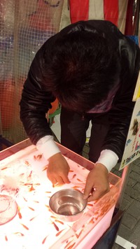 金魚すくいで!! 金魚すくいで!!