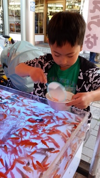 金魚がっっ!!!(@_@;) 金魚がっっ!!!(@_@;)