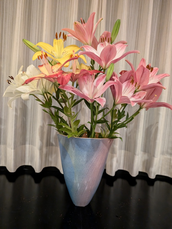花特集 花特集