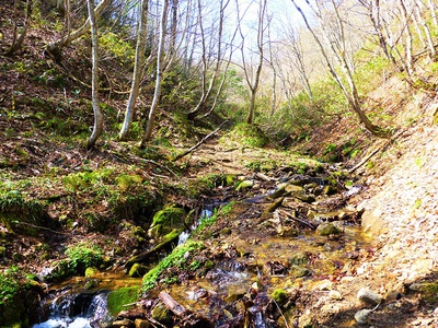 山行報告 「天蓋山」 1527.3m 山行報告 「天蓋山」 1527.3m