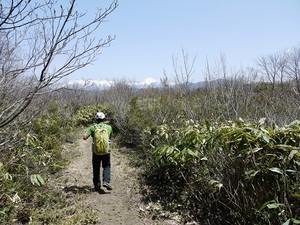 山行報告 「天蓋山」 1527.3m 山行報告 「天蓋山」 1527.3m